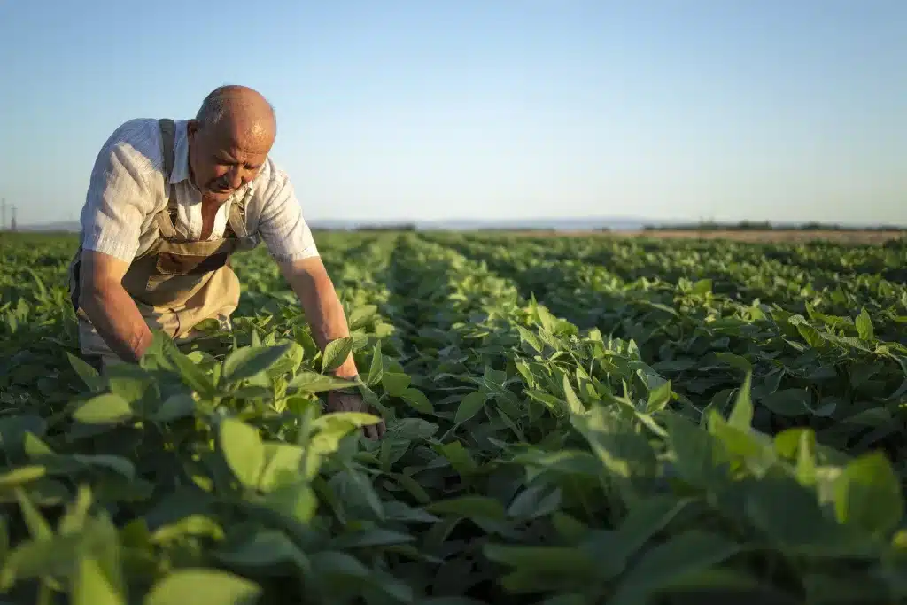 Descubra como o produtor rural pode abrir empresa em poucos passos.