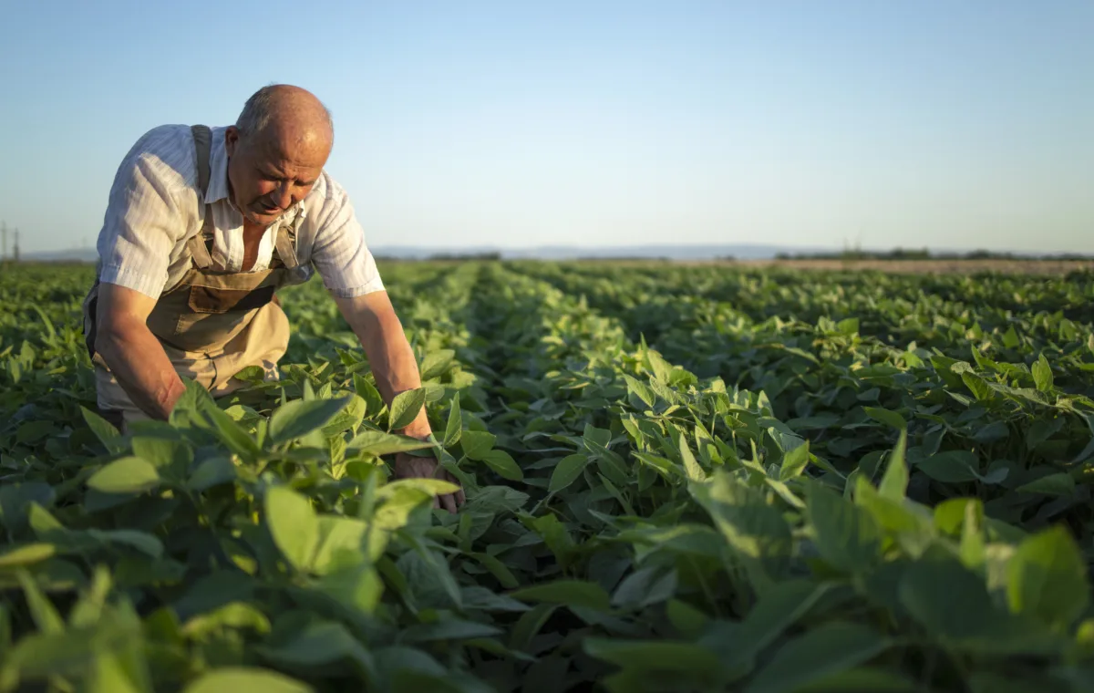 Descubra como o produtor rural pode abrir empresa em poucos passos.