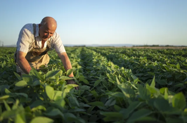 Descubra como o produtor rural pode abrir empresa em poucos passos.