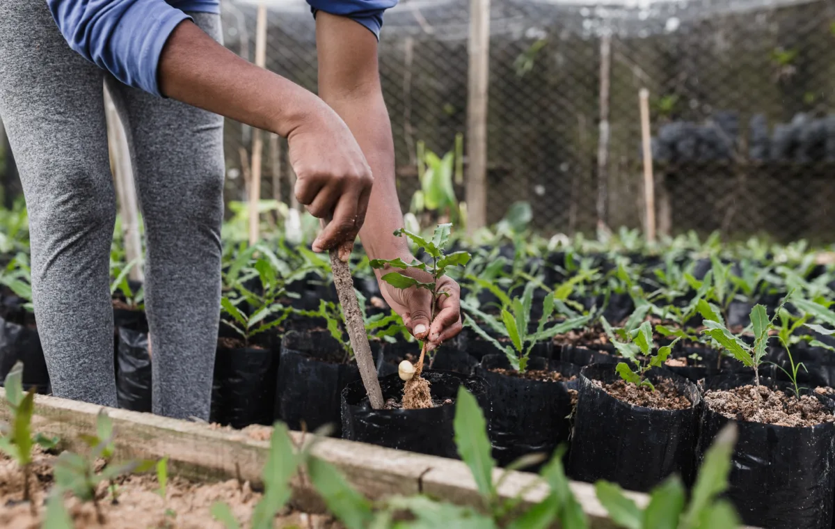 indicadores de produtividade rural