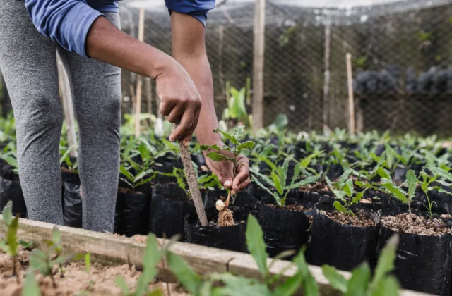indicadores de produtividade rural