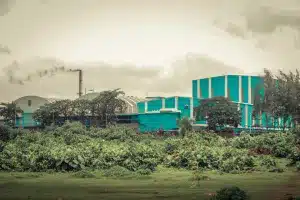 imagem ilustra uma empresa com foco na responsabilidade social