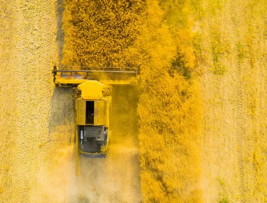 foto mostra produção agropecuária em ação