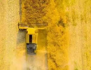 foto mostra produção agropecuária em ação