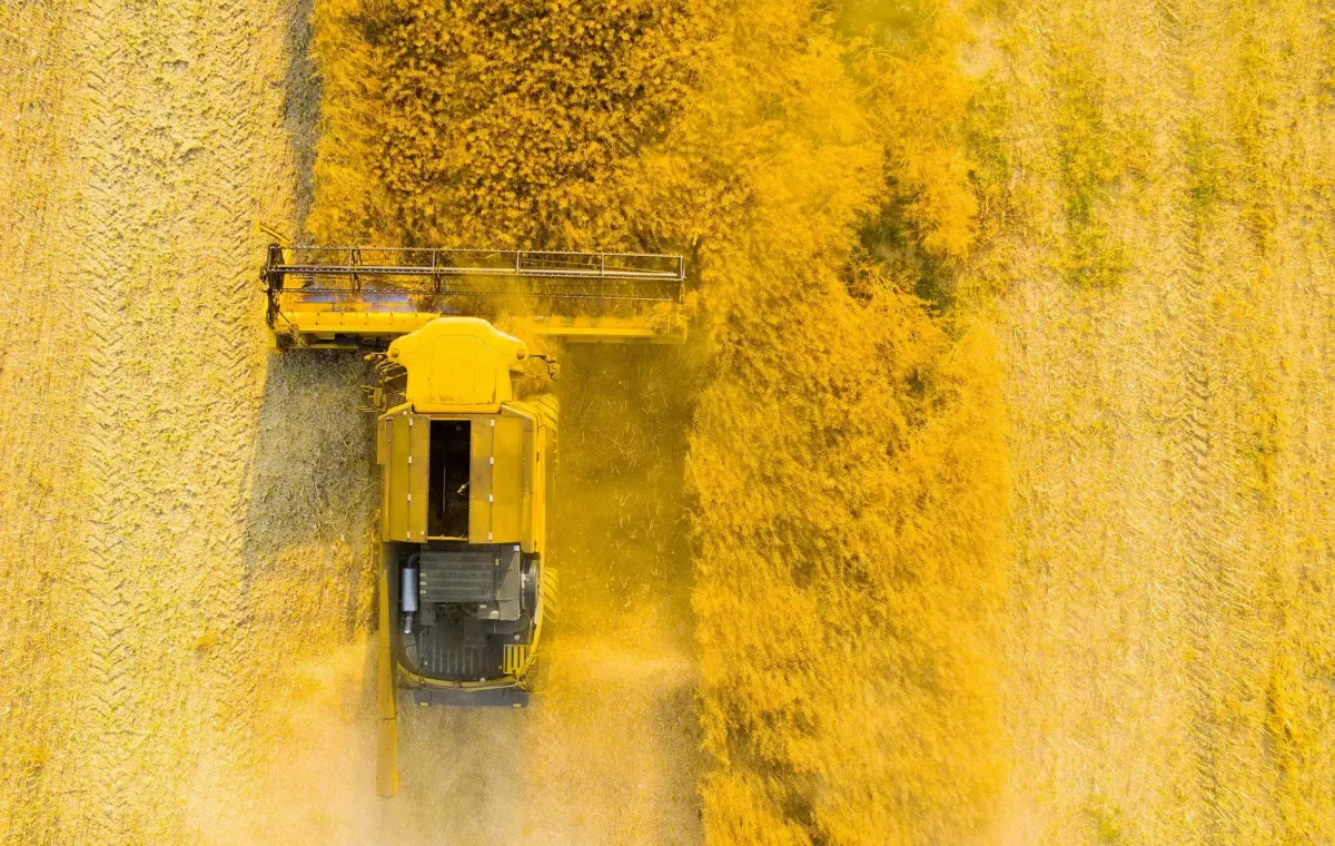 foto mostra produção agropecuária em ação