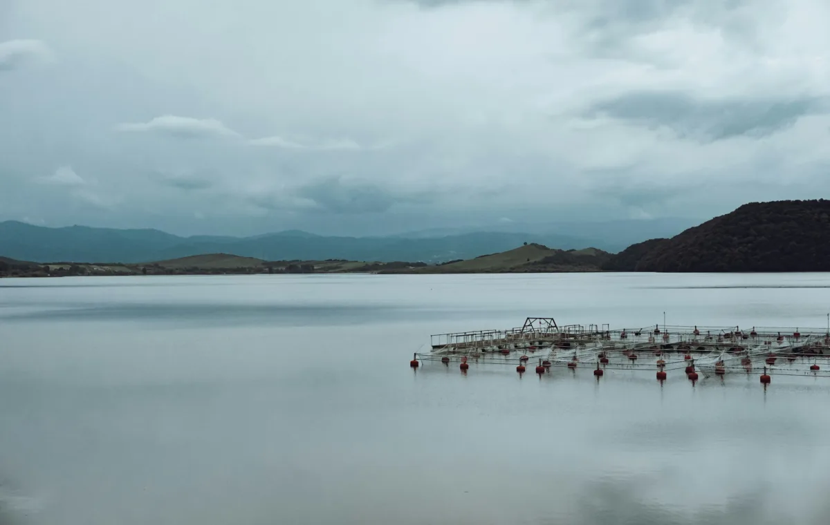aquicultura