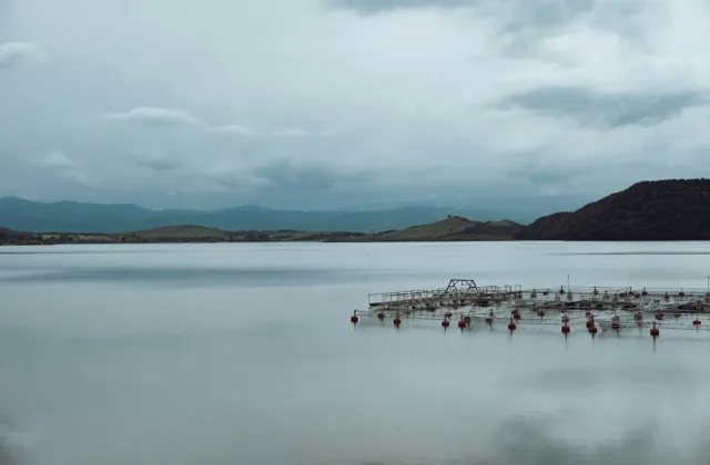 aquicultura