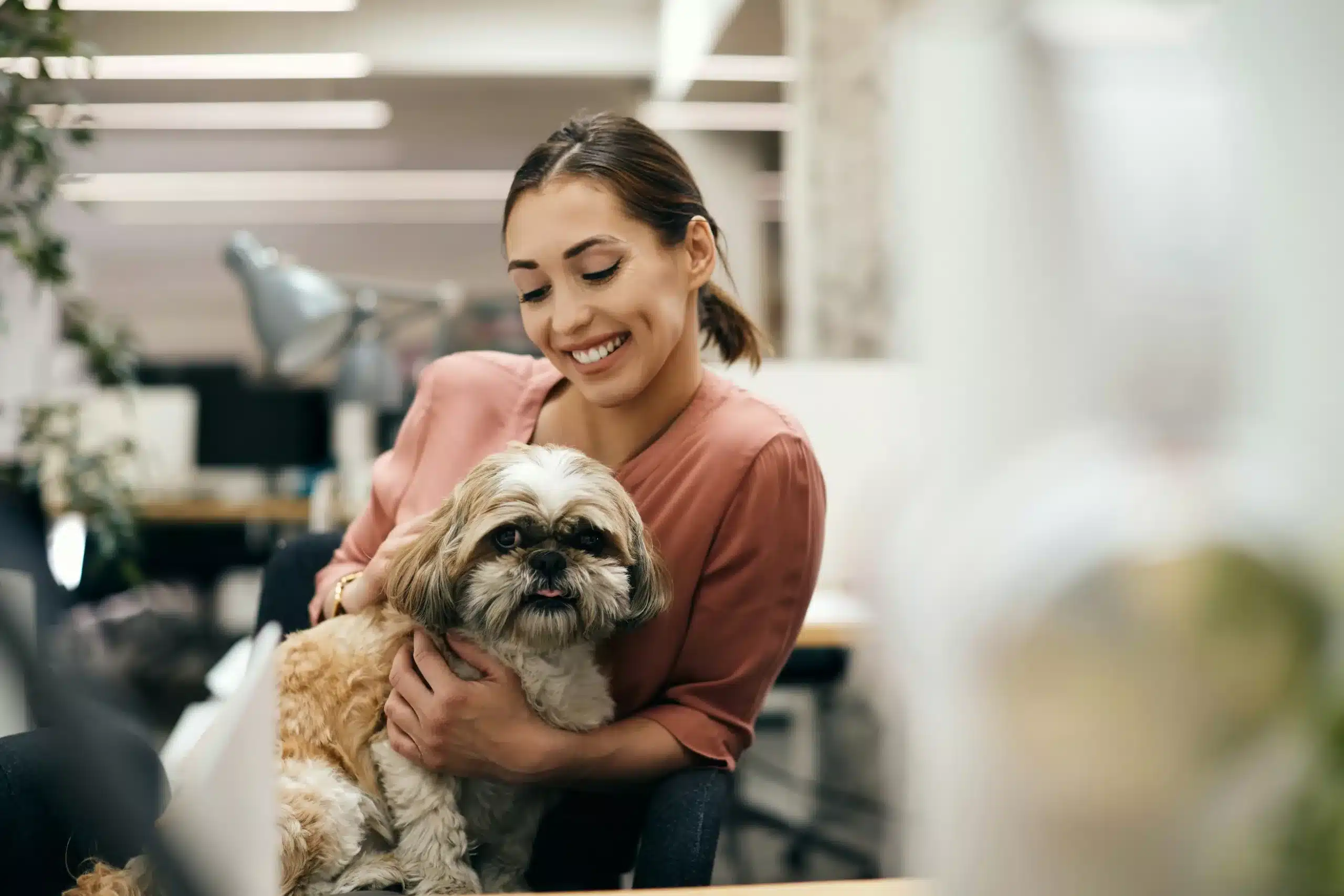 Mulher segurando cachorro de pequeno porte em seu Pet Shop - Descubra como abrir um Pet Shop com o Sebrae RN