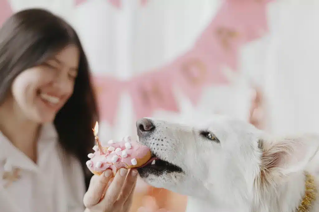 Moça alimentando cachorro em pet shop com bolo. Sebrae RN