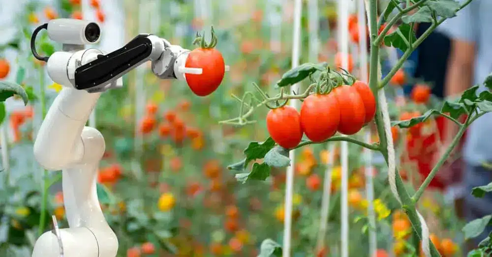robotica-na-agricultura--sebrae rn-agricultura de precisão