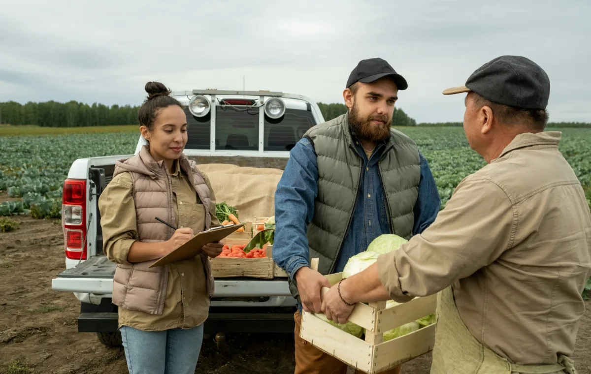 marketing agrícola-sebrae rn -- foto_unsplash