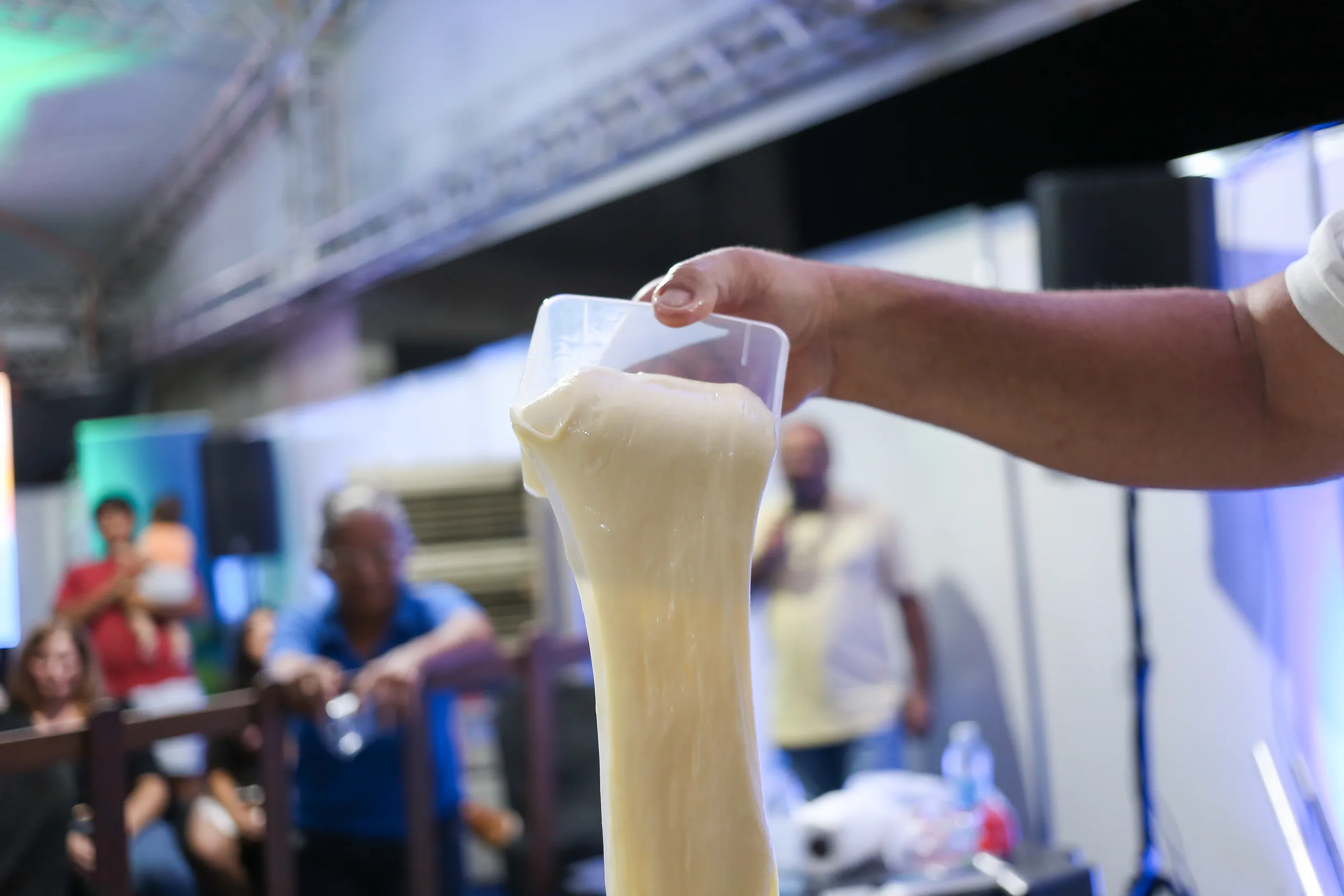 queijo de manteiga do seridó- sebrae rn - 5