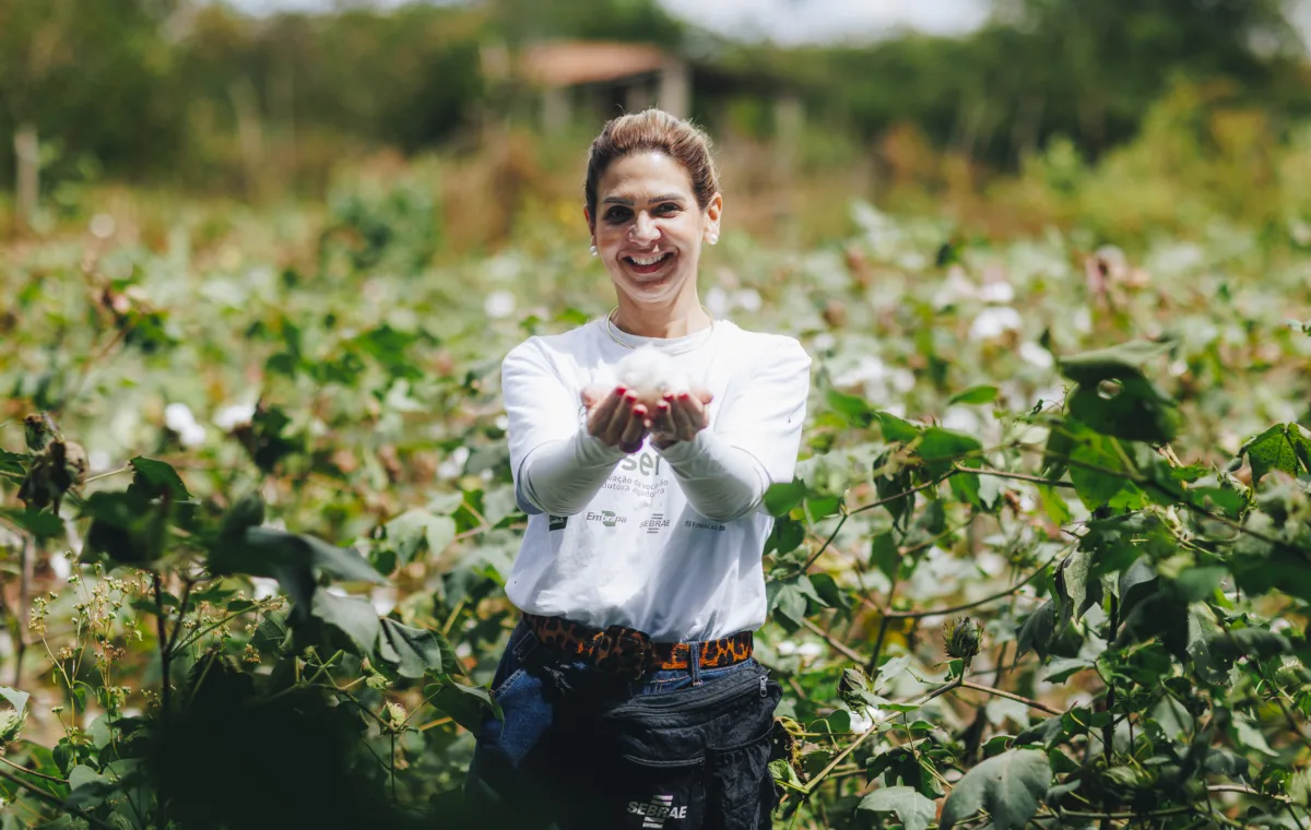 indústria têxtil potiguar-algodão do seridó-moda potiguar - sebrae rn - capa