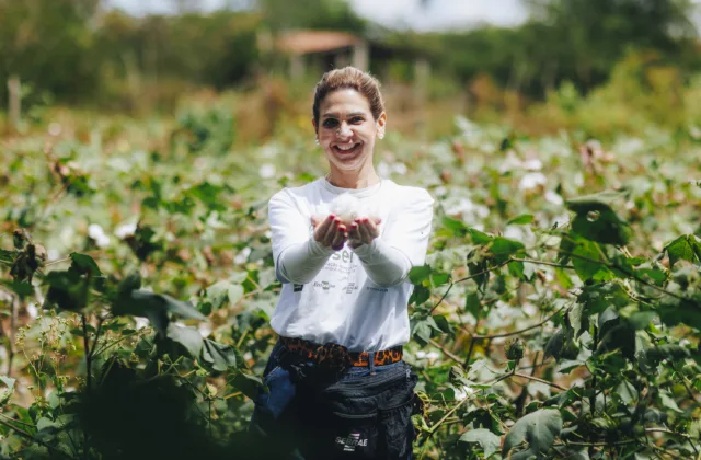 indústria têxtil potiguar-algodão do seridó-moda potiguar - sebrae rn - capa